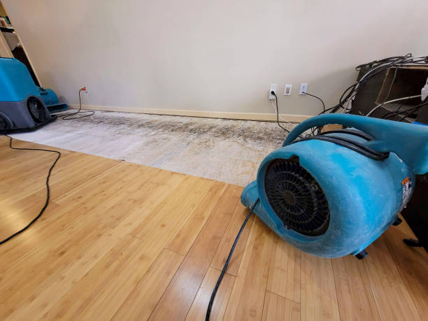 Professional Structural Drying technician working in New Castle, CO